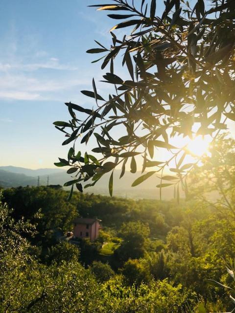 Hotel La Trigola La Spezia Zewnętrze zdjęcie